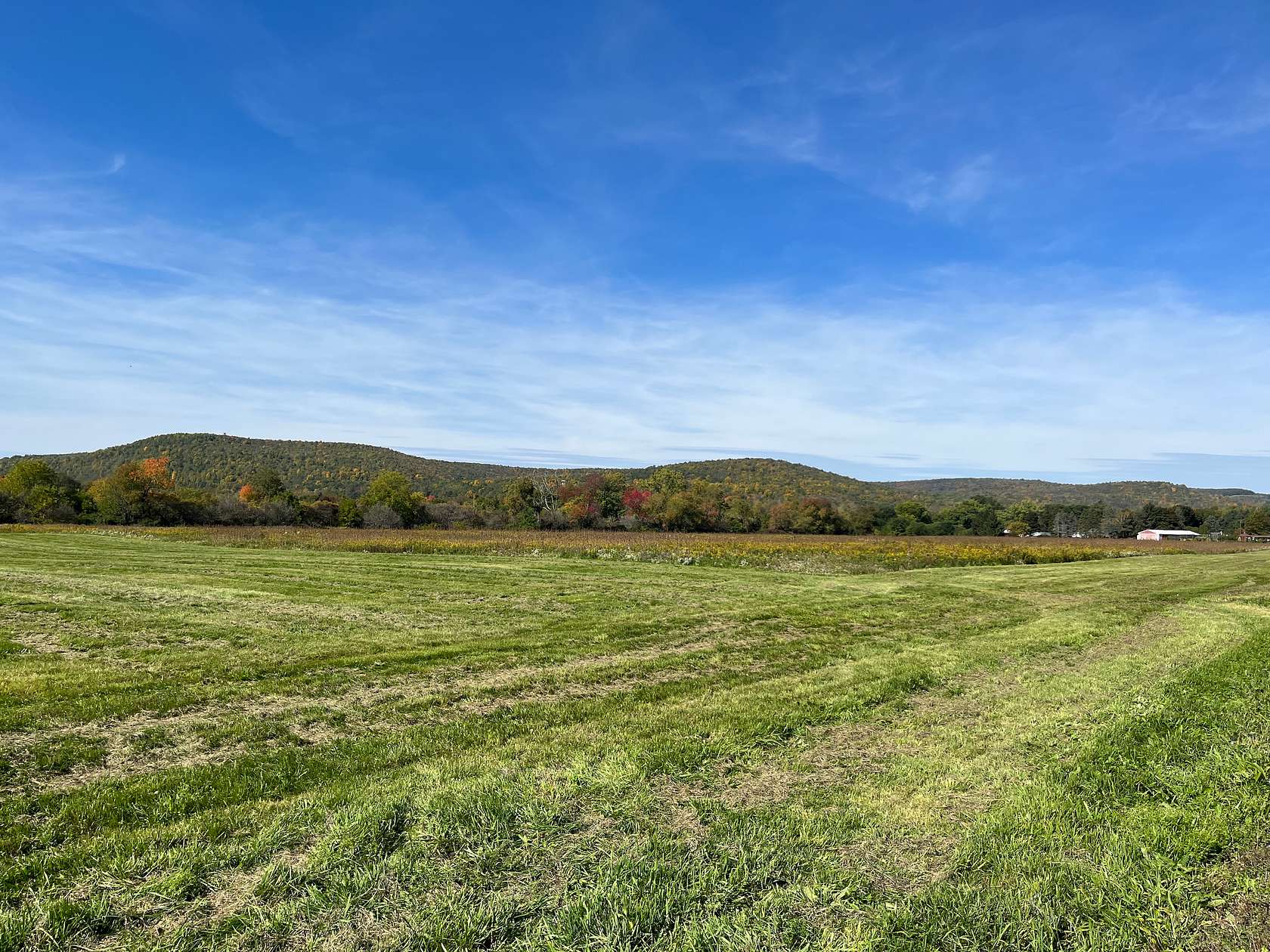 19.7 Acres of Recreational Land for Sale in Big Flats, New York