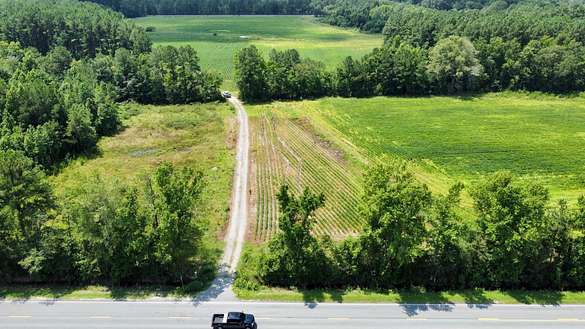 38 Acres of Land for Sale in Reevesville, South Carolina