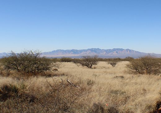36.4 Acres of Land for Sale in St. David, Arizona