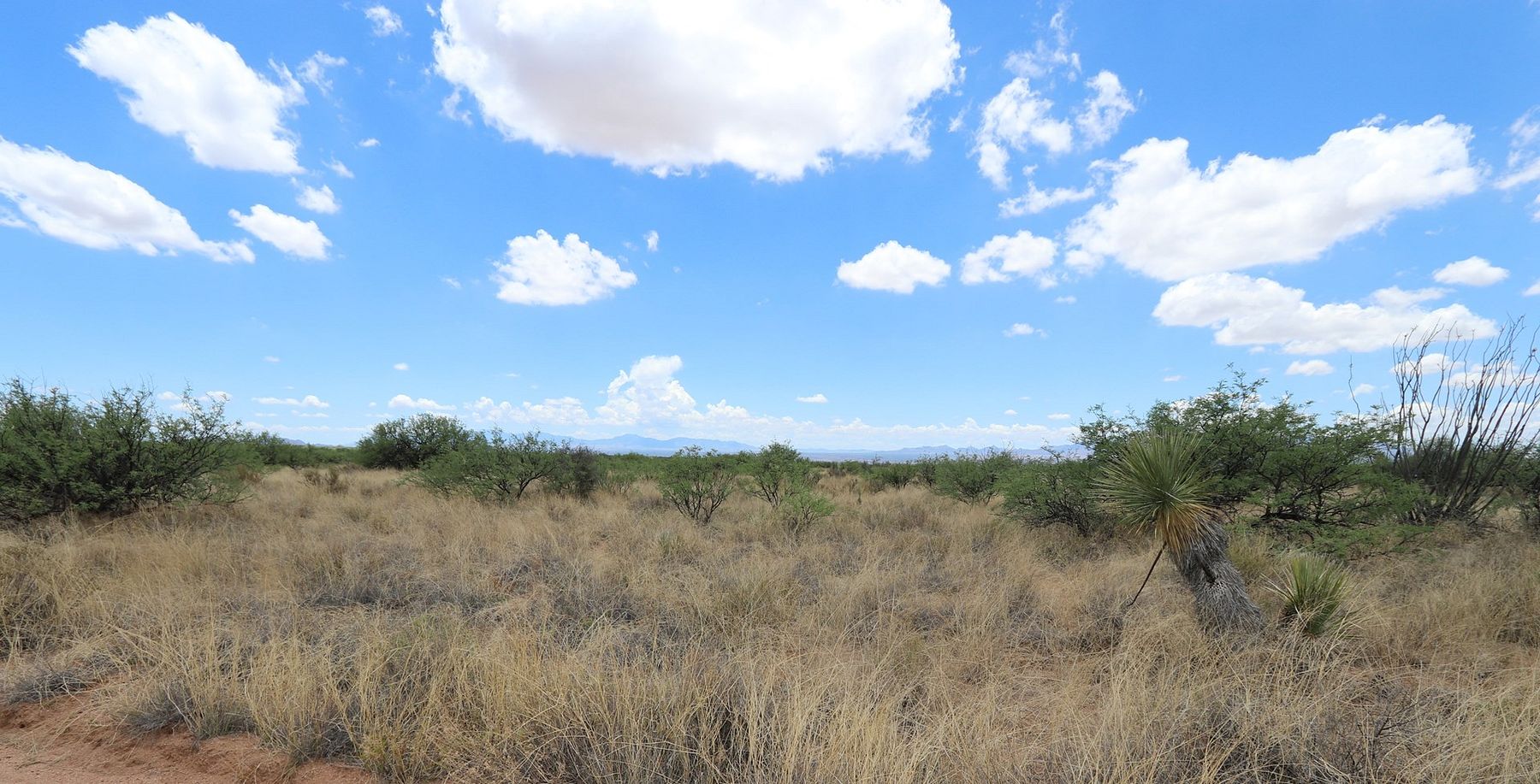 38.6 Acres of Land for Sale in St. David, Arizona