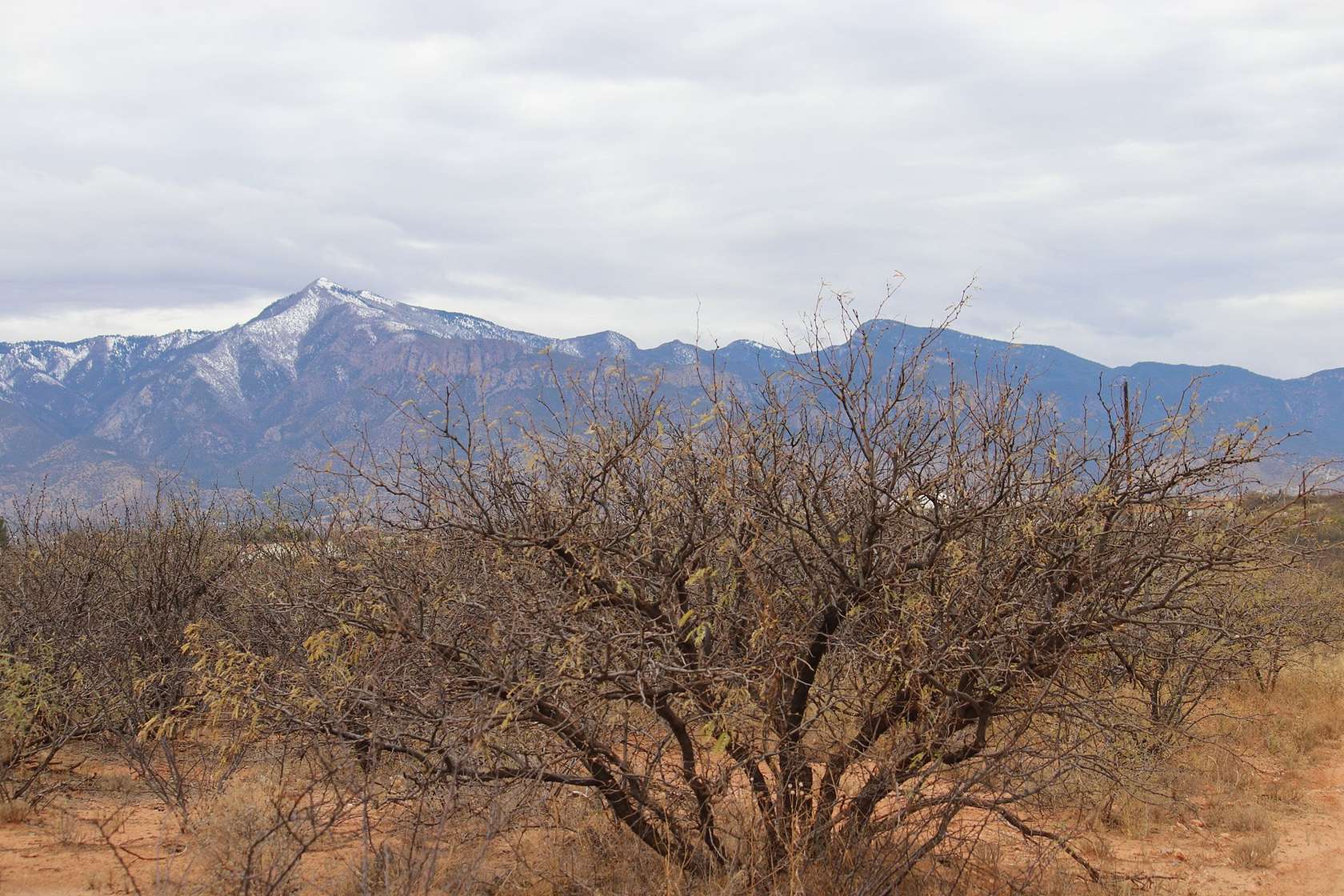 5.04 Acres of Agricultural Land for Sale in Hereford, Arizona