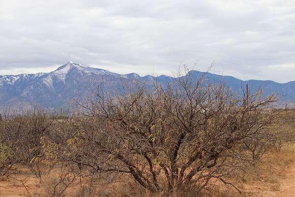 5.04 Acres of Agricultural Land for Sale in Hereford, Arizona