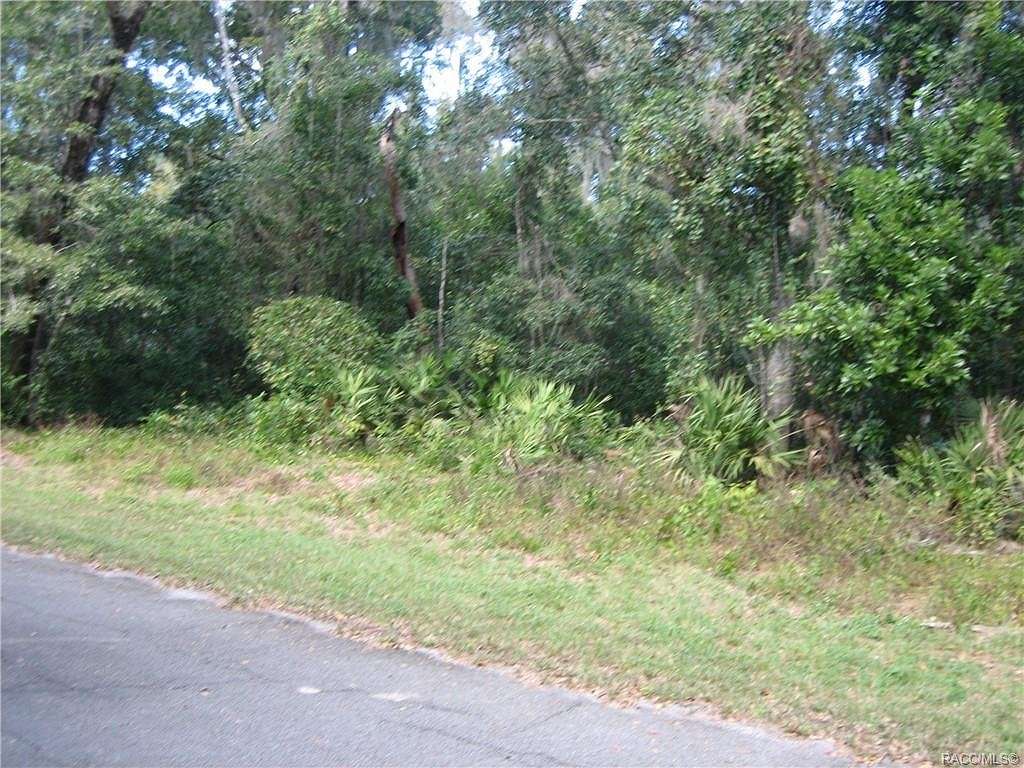 0.85 Acres of Residential Land for Sale in Hernando, Florida