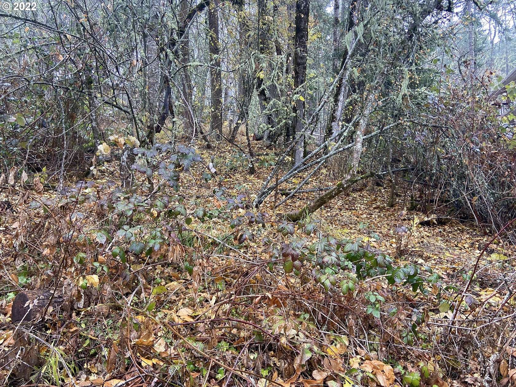 0.23 Acres of Residential Land for Sale in Eugene, Oregon
