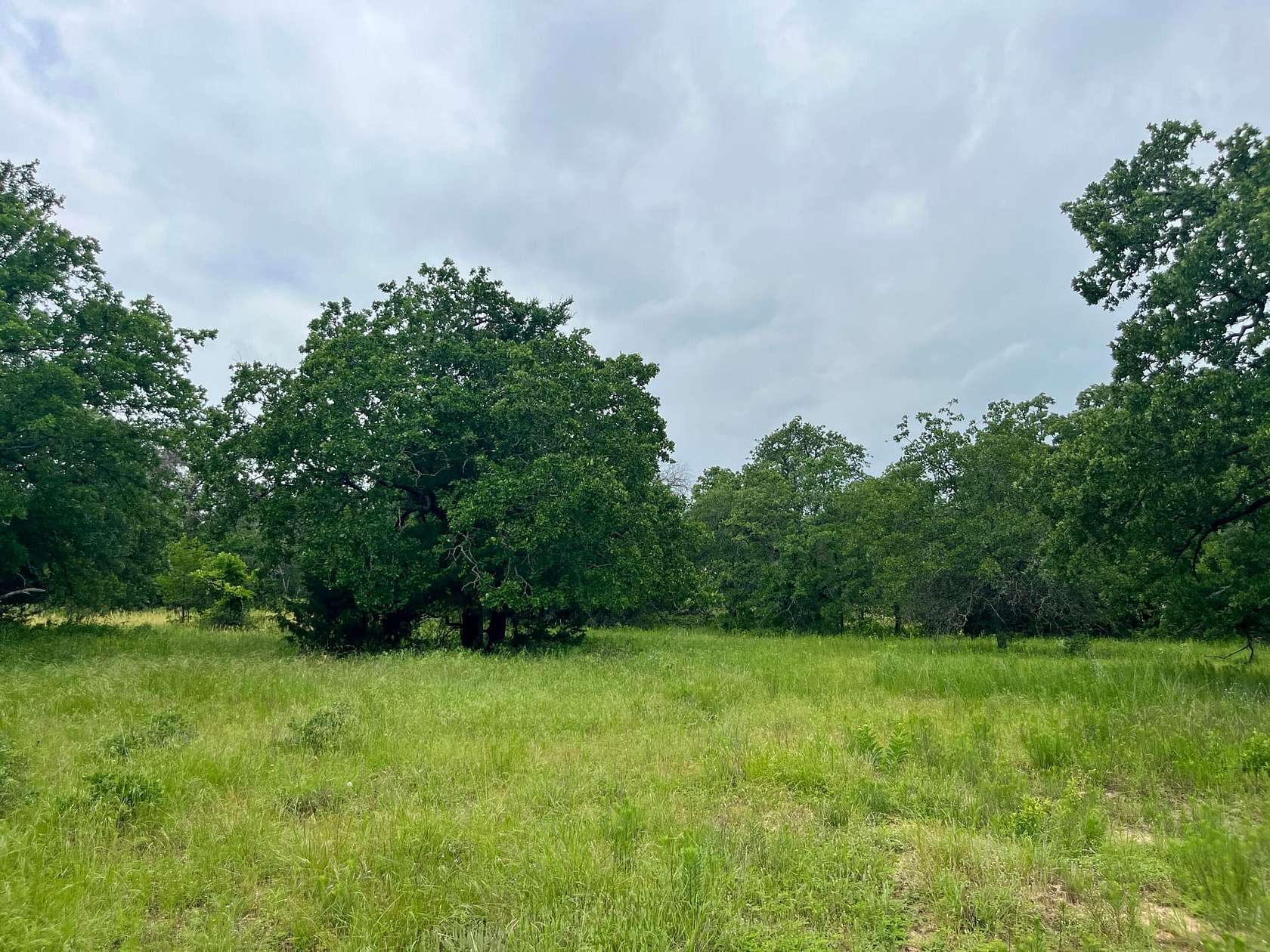 2 Acres of Residential Land for Sale in Poolville, Texas