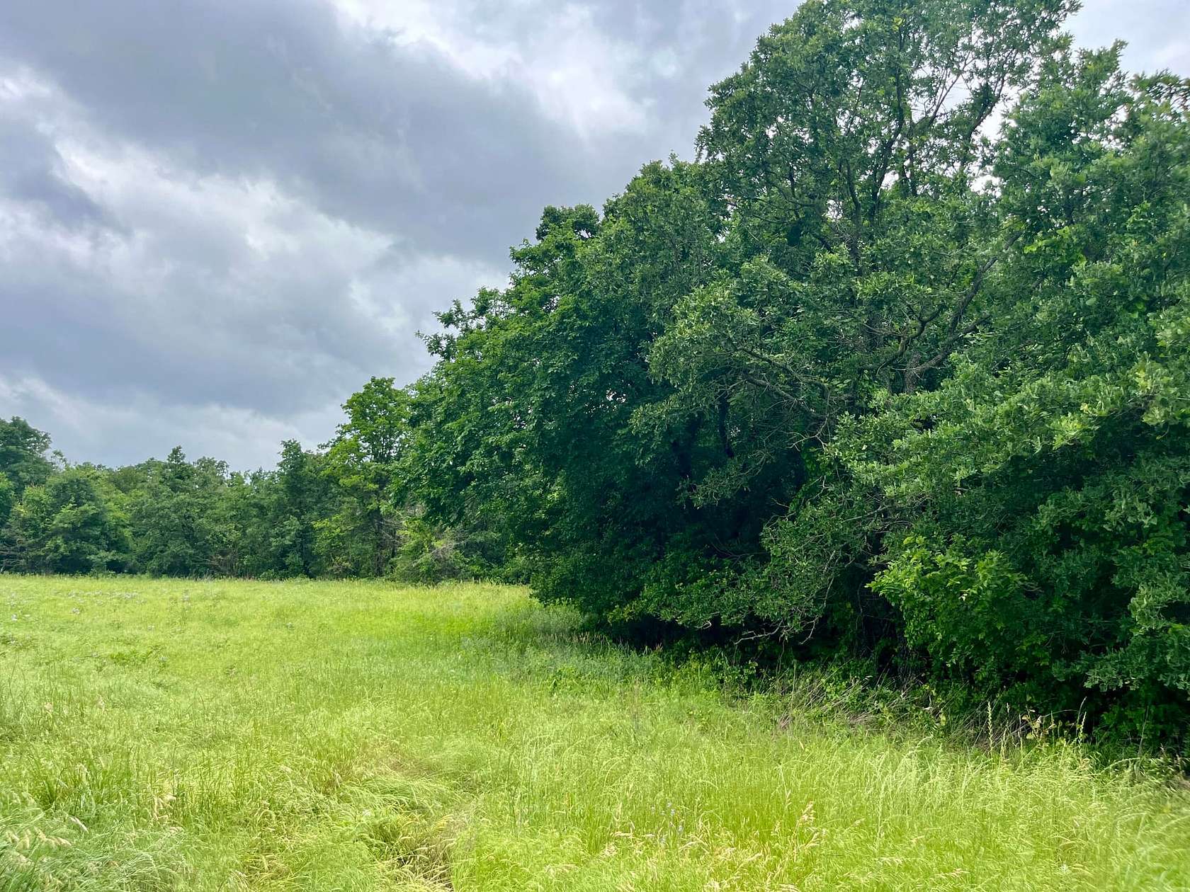 2 Acres of Residential Land for Sale in Poolville, Texas