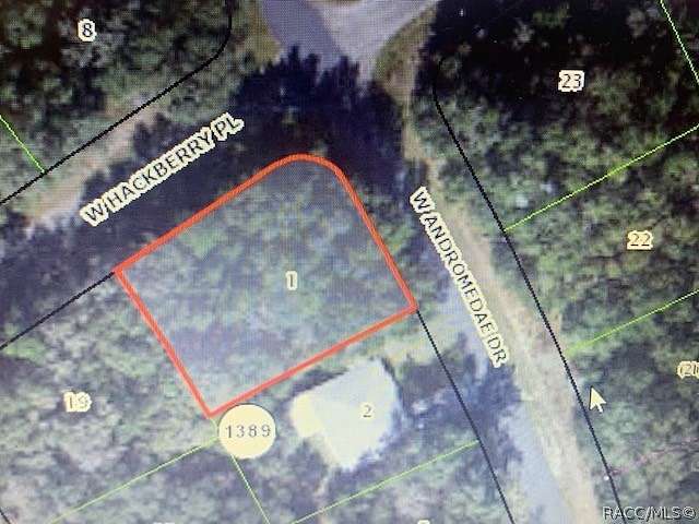 0.28 Acres of Residential Land for Sale in Citrus Springs, Florida