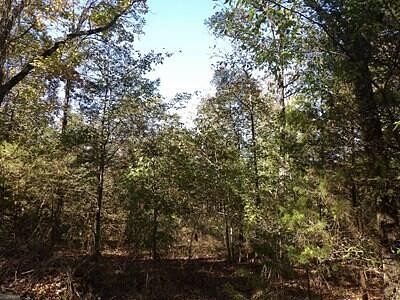 5 Acres of Land for Sale in Russellville, Arkansas