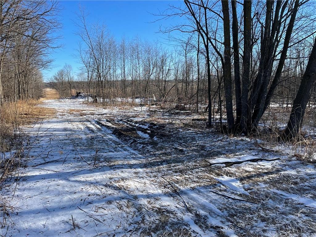 94 Acres of Land for Sale in Culdrum Township, Minnesota