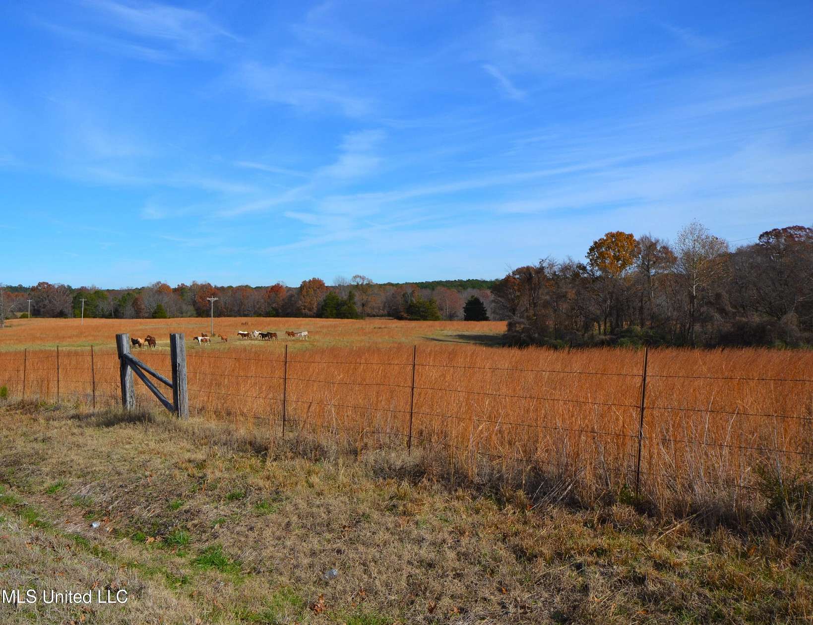 57.7 Acres of Recreational Land & Farm for Sale in Holly Springs, Mississippi