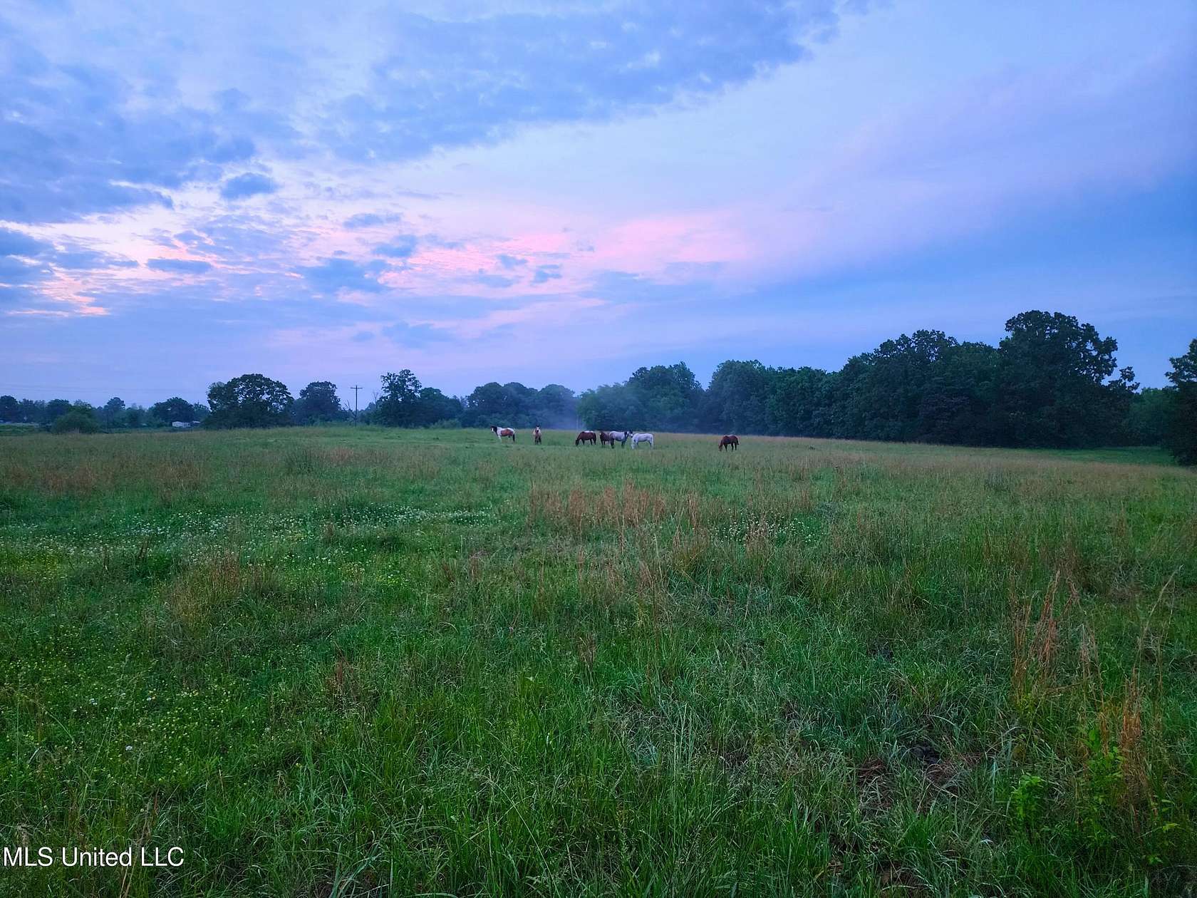 61.6 Acres of Recreational Land & Farm for Sale in Holly Springs, Mississippi