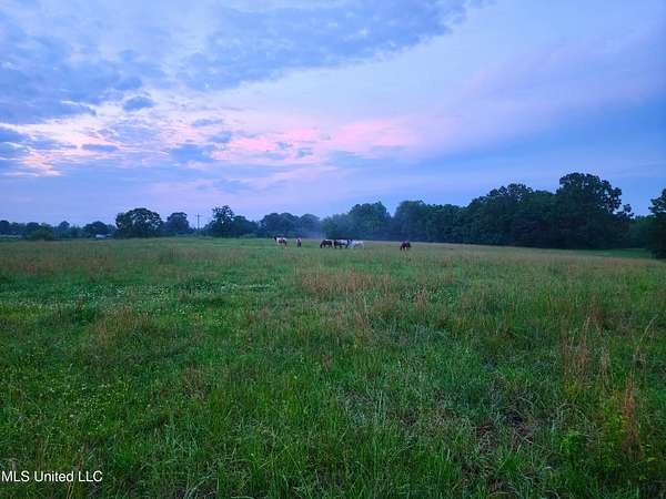 61.6 Acres of Recreational Land & Farm for Sale in Holly Springs, Mississippi