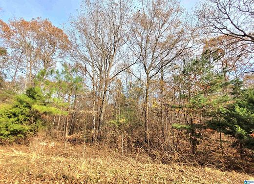 34 Acres of Land for Sale in Munford, Alabama