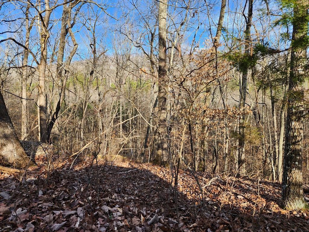 0.84 Acres of Residential Land for Sale in Holladay, Tennessee