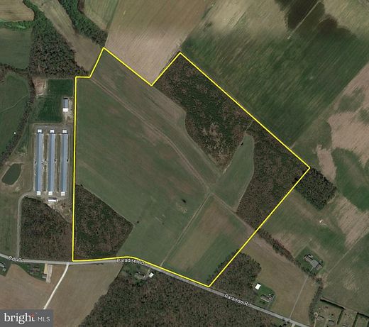 91.6 Acres of Agricultural Land for Sale in Georgetown, Delaware