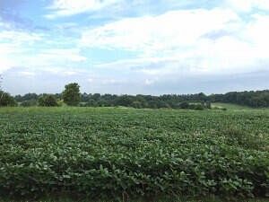 35.8 Acres of Agricultural Land for Sale in Georgetown, Kentucky