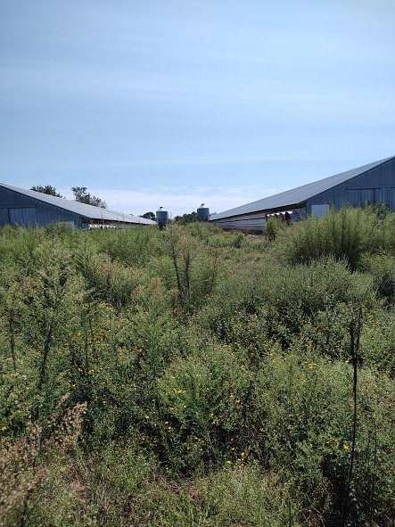 106 Acres of Improved Land for Sale in Ellerbe, North Carolina