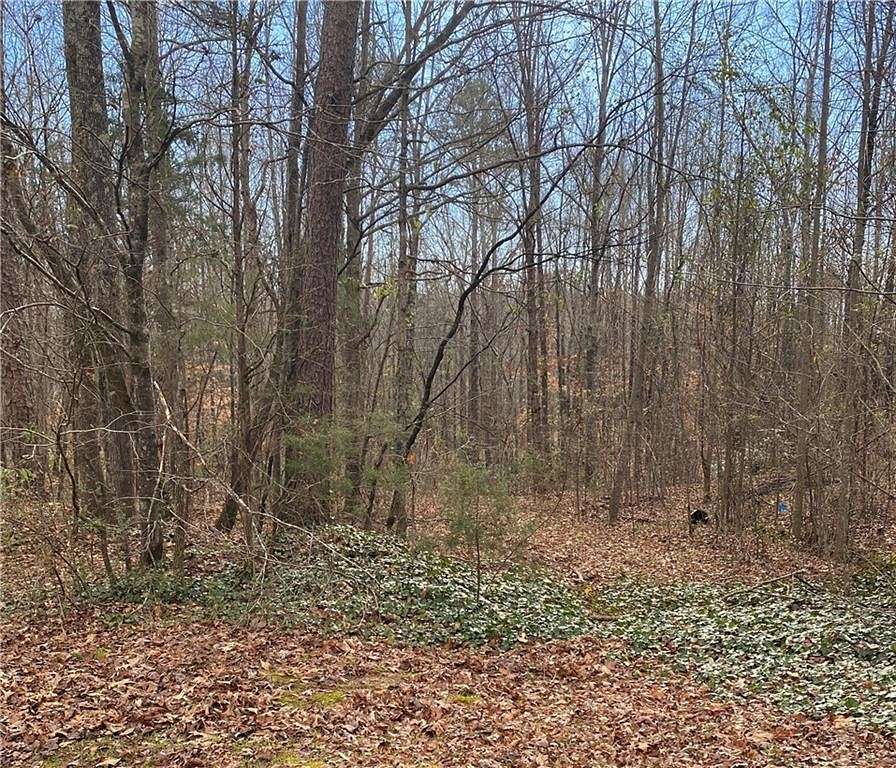 2.8 Acres of Residential Land for Sale in Toccoa, Georgia