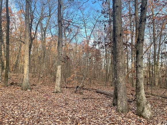 Land for Sale in Chatham, Virginia