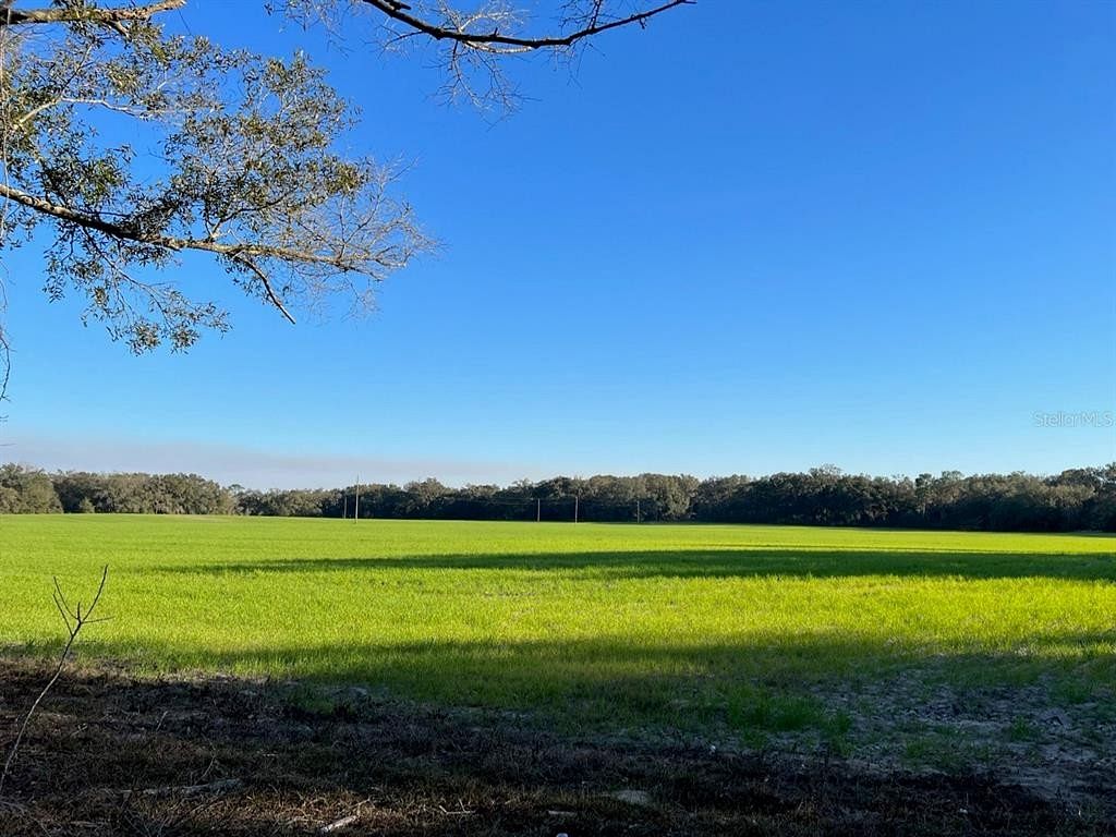 43 Acres of Agricultural Land for Sale in Morriston, Florida