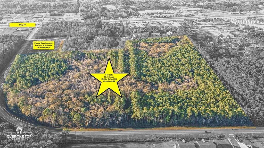 38.1 Acres of Land for Sale in Kingsland, Georgia