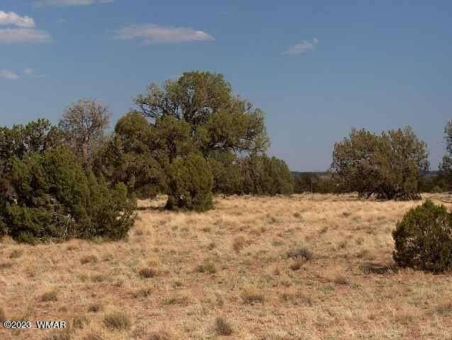 41 Acres of Land for Sale in Heber, Arizona