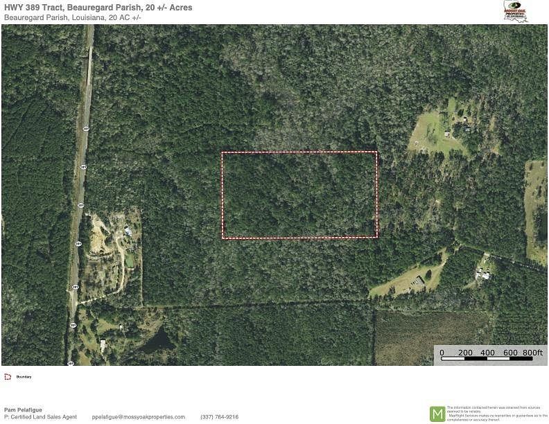 20.05 Acres of Recreational Land for Sale in Merryville, Louisiana