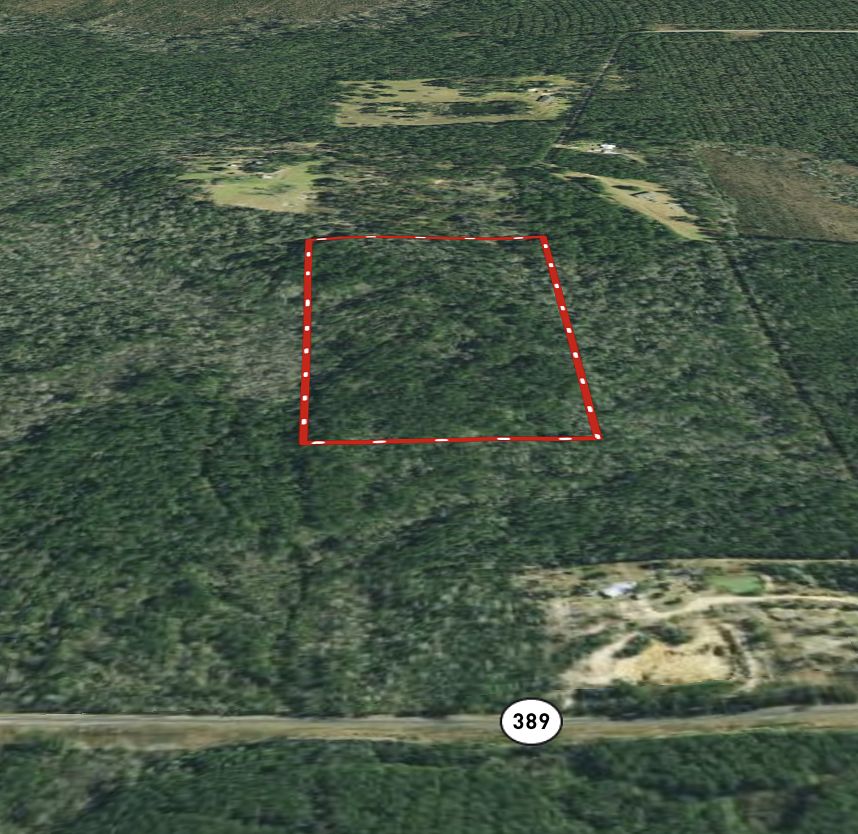 20.1 Acres of Recreational Land for Sale in Merryville, Louisiana