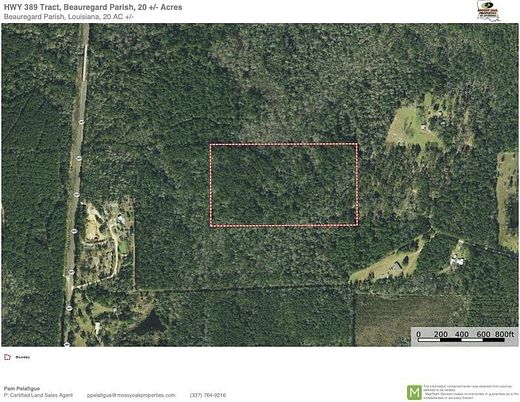 20.1 Acres of Recreational Land for Sale in Merryville, Louisiana