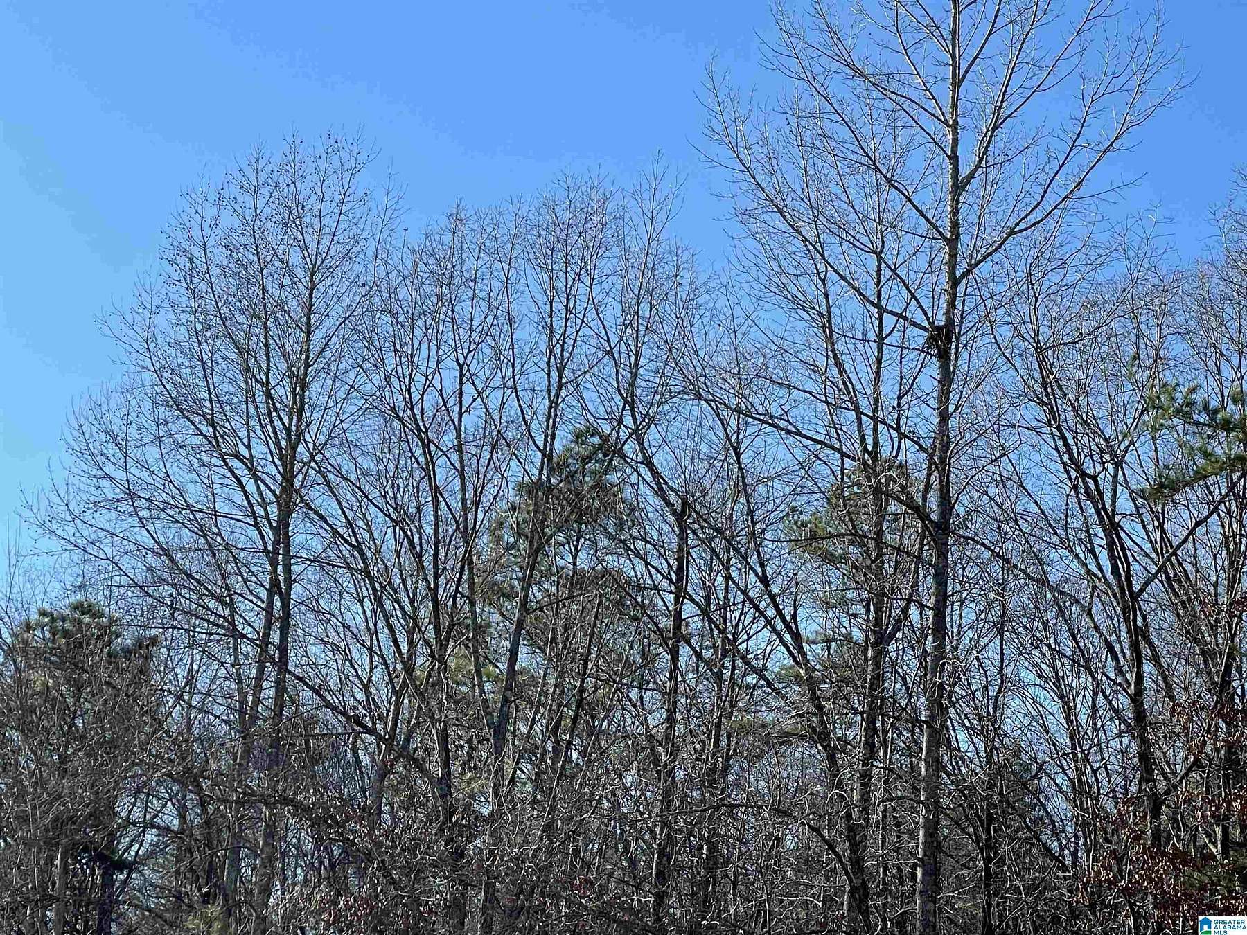 6.9 Acres of Land for Sale in Chelsea, Alabama