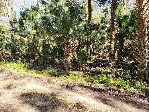 2.5 Acres of Residential Land for Sale in Deltona, Florida