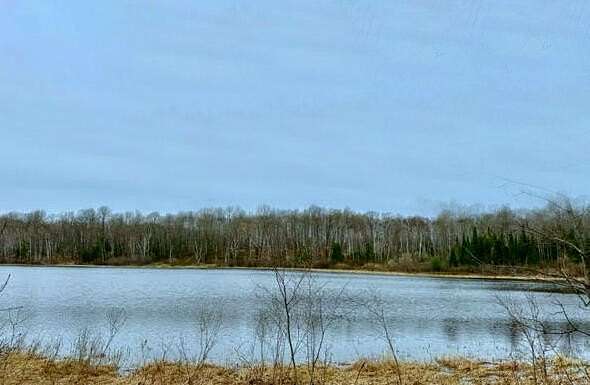 Residential Land for Sale in Johannesburg, Michigan