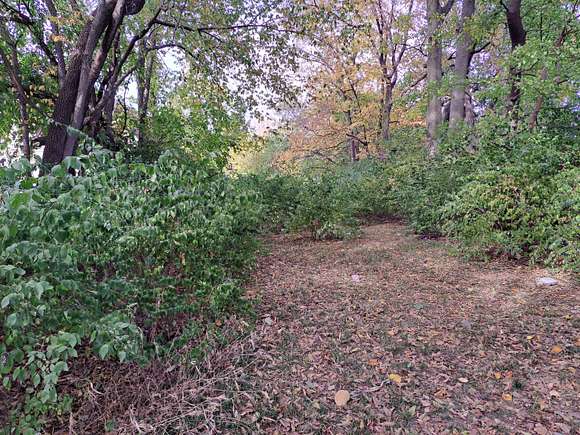 0.24 Acres of Residential Land for Sale in Indianapolis, Indiana