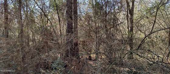 0.21 Acres of Residential Land for Sale in Lumberton, Mississippi