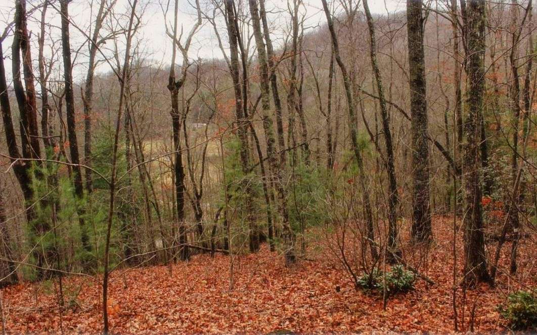 1.3 Acres of Residential Land for Sale in Hayesville, North Carolina