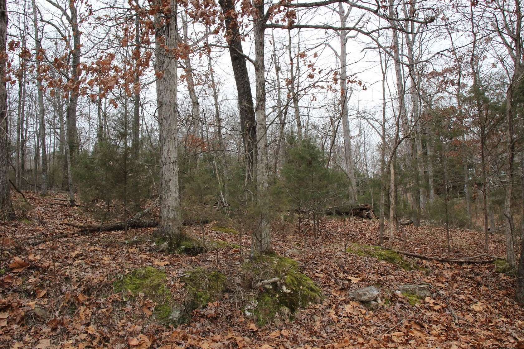 0.55 Acres of Land for Sale in Bull Shoals, Arkansas