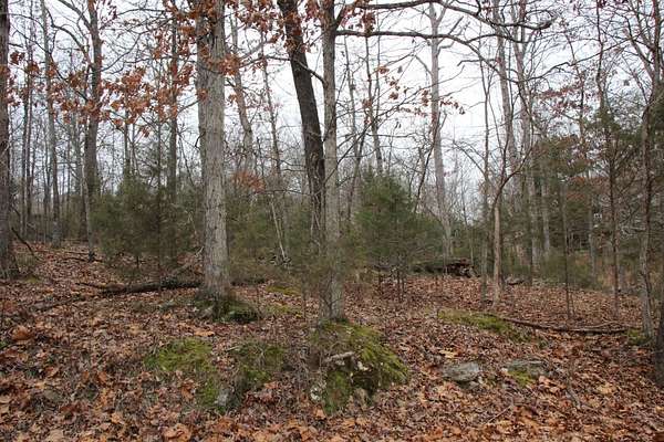 0.55 Acres of Land for Sale in Bull Shoals, Arkansas