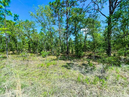 0.25 Acres of Residential Land for Sale in Ocala, Florida