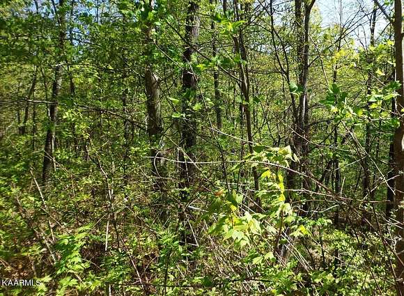 4 Acres of Residential Land for Sale in New Tazewell, Tennessee