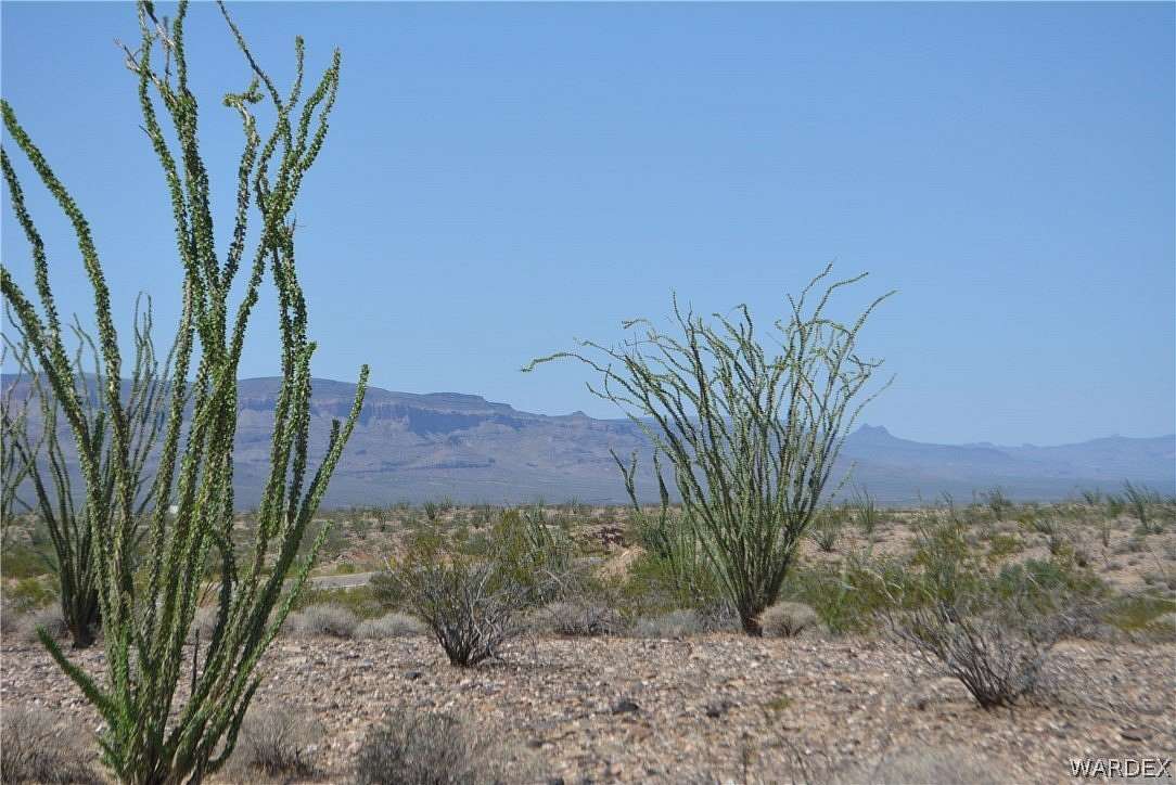 38 Acres of Land for Sale in Yucca, Arizona