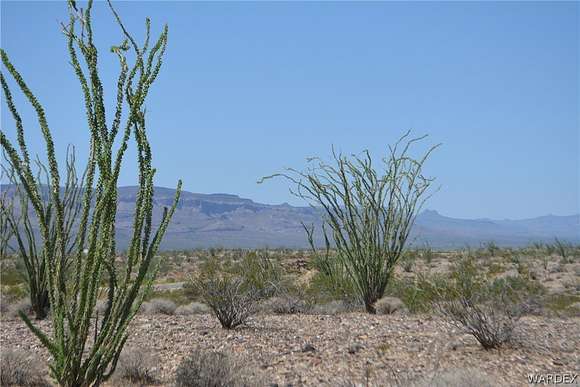 38 Acres of Agricultural Land for Sale in Yucca, Arizona