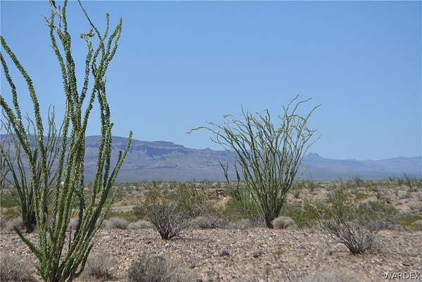 38 Acres of Land for Sale in Yucca, Arizona