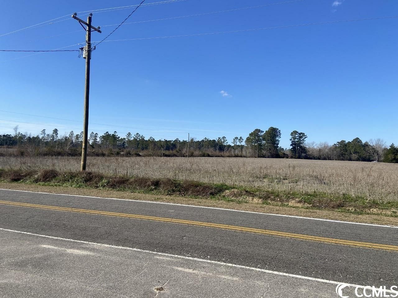 33.2 Acres of Land for Sale in Loris, South Carolina