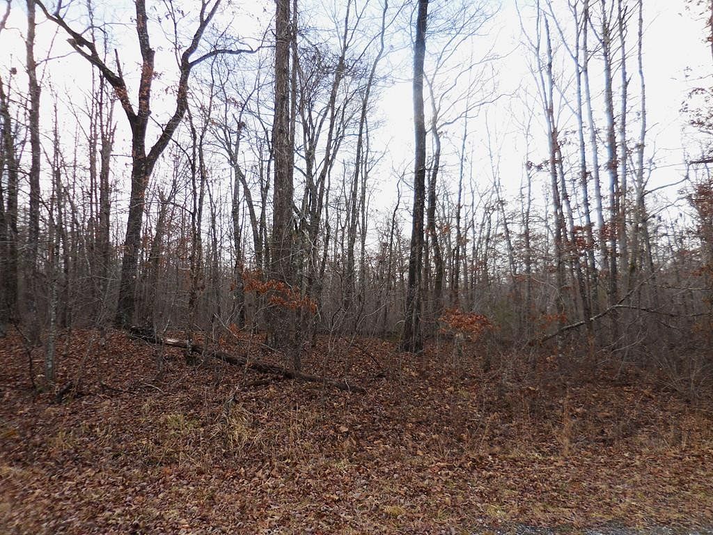 0.25 Acres of Residential Land for Sale in Crossville, Tennessee