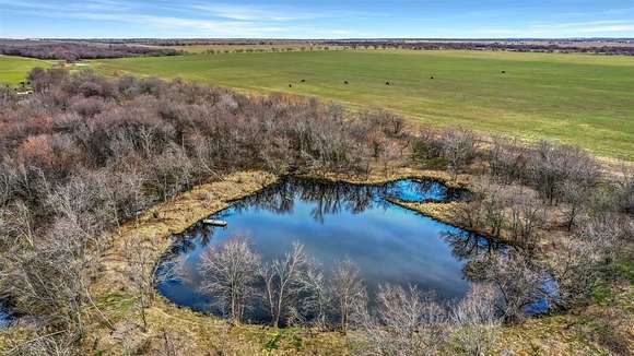 20 Acres of Agricultural Land for Sale in Collinsville, Texas