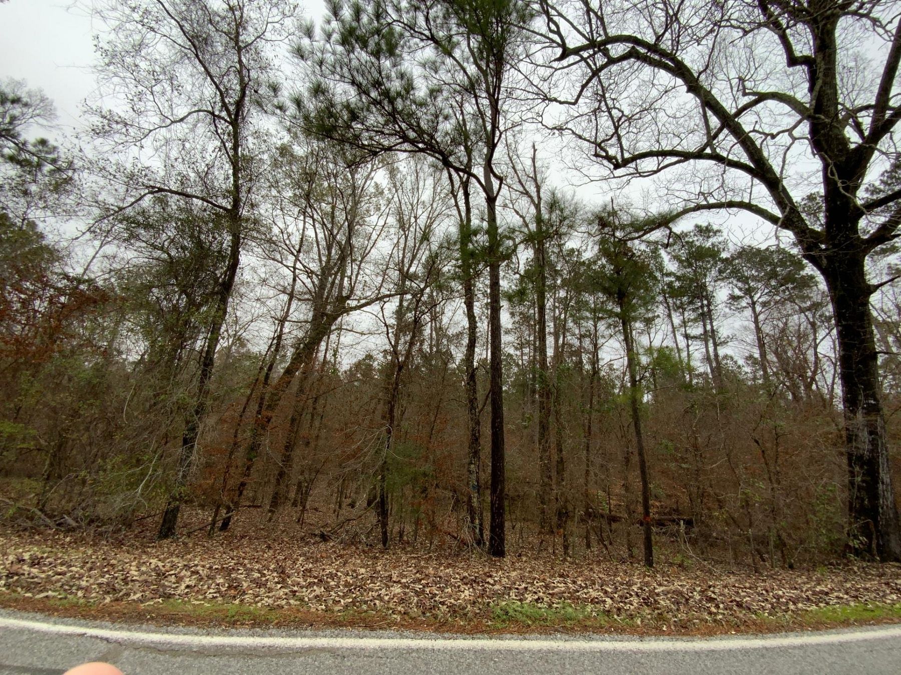 22.1 Acres of Recreational Land for Sale in Harrisonburg, Louisiana