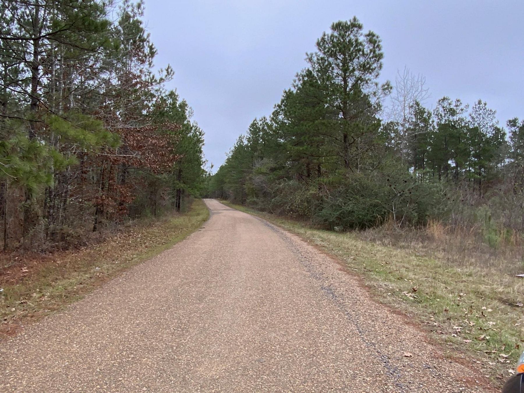 172 Acres of Recreational Land for Sale in Jena, Louisiana