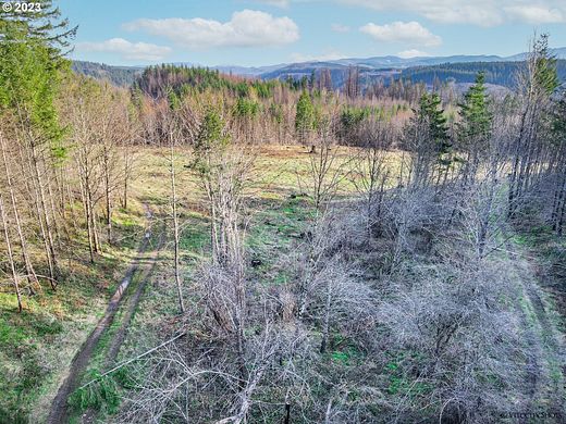 20 Acres of Recreational Land for Sale in Estacada, Oregon