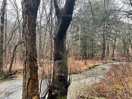 112 Acres of Recreational Land for Sale in Austin, Pennsylvania