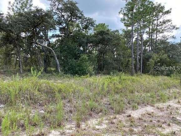 0.99 Acres of Residential Land for Sale in Dunnellon, Florida